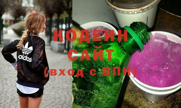 шишки Алзамай