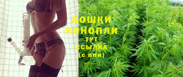 шишки Алзамай