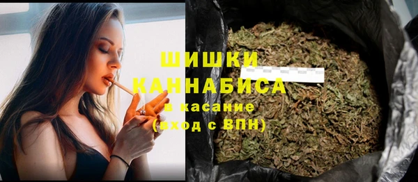 шишки Алзамай