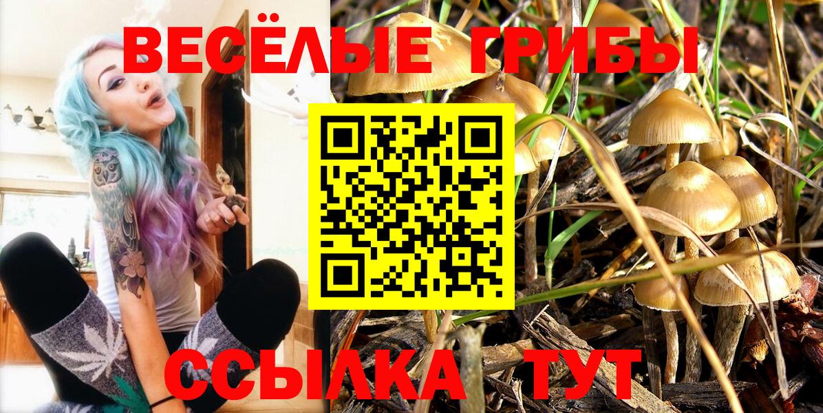 Когалым  Псилоцибиновые грибы мицелий  Вход с VPN 